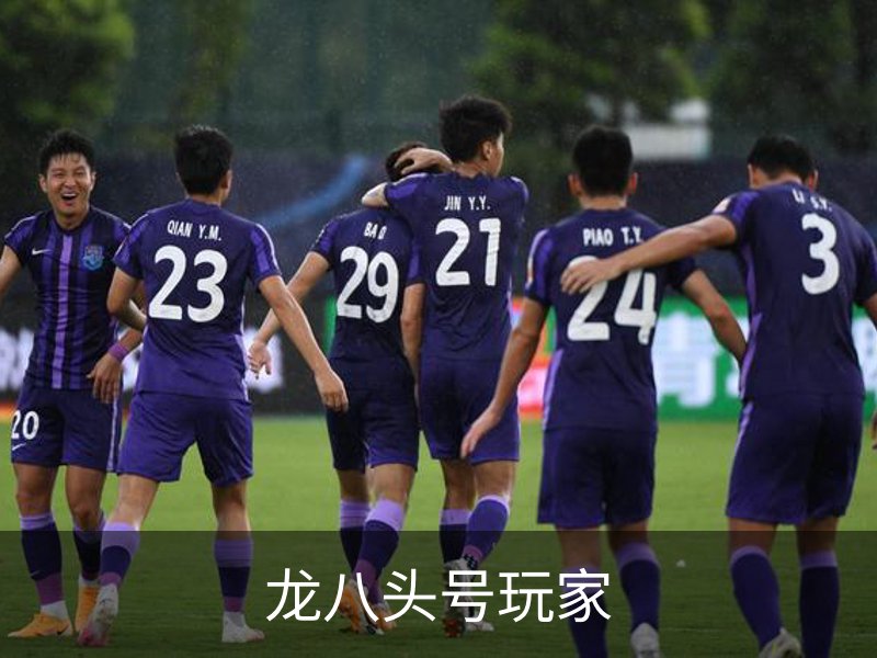 龙八头号玩家概况